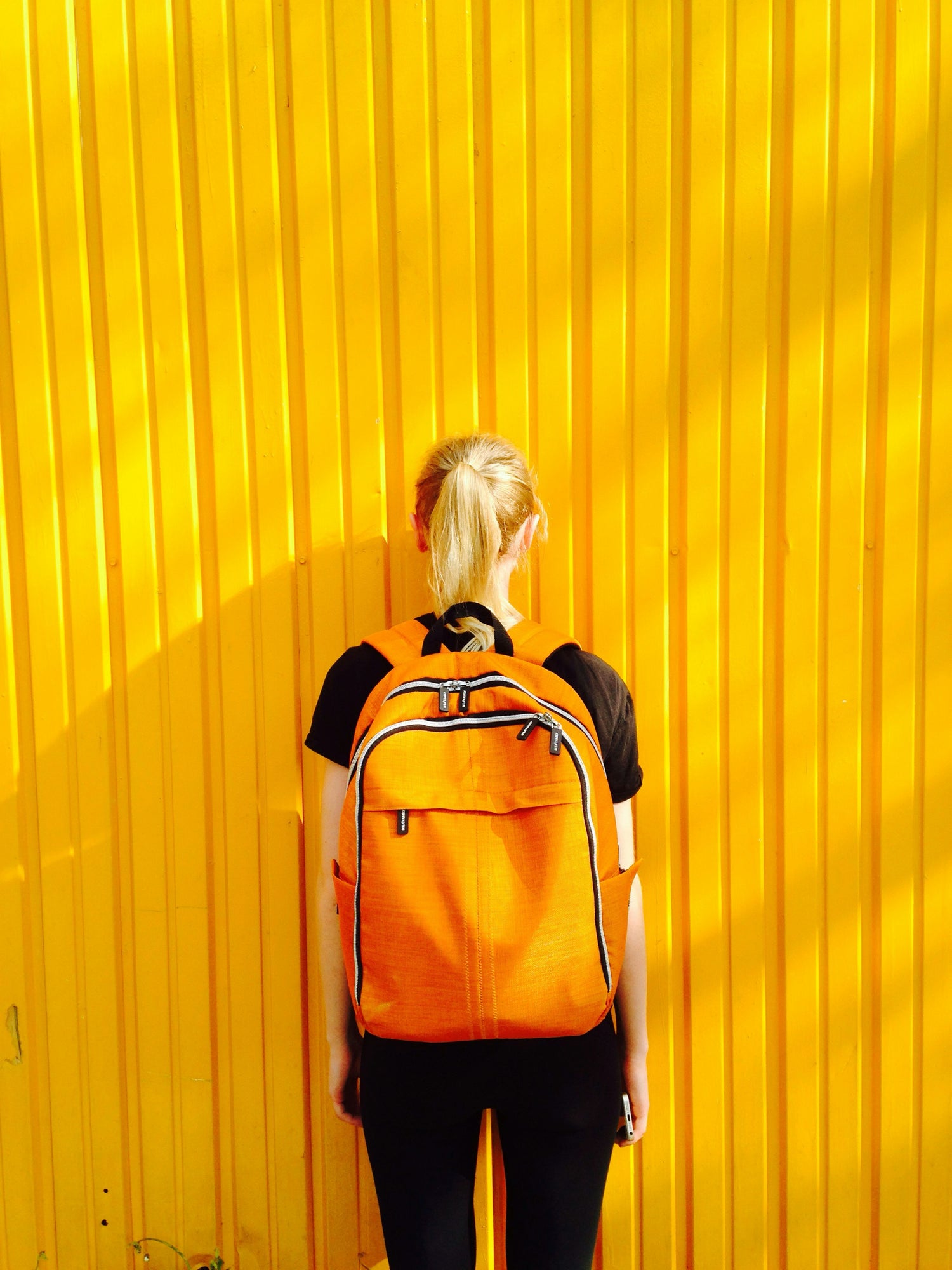 Backpack £20